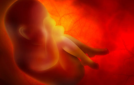 Medicine abstract background with embryo